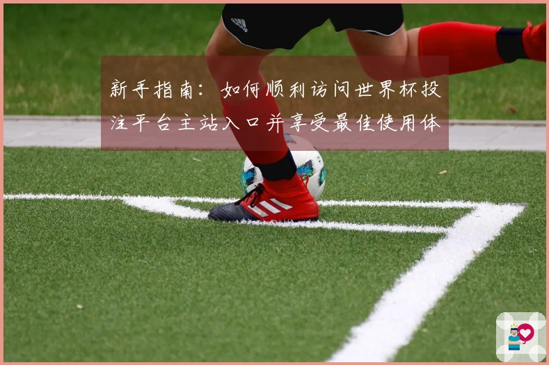 新手指南：如何顺利访问世界杯投注平台主站入口并享受最佳使用体验