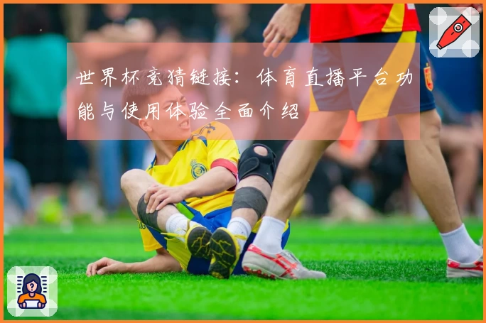 世界杯竞猜链接：体育直播平台功能与使用体验全面介绍