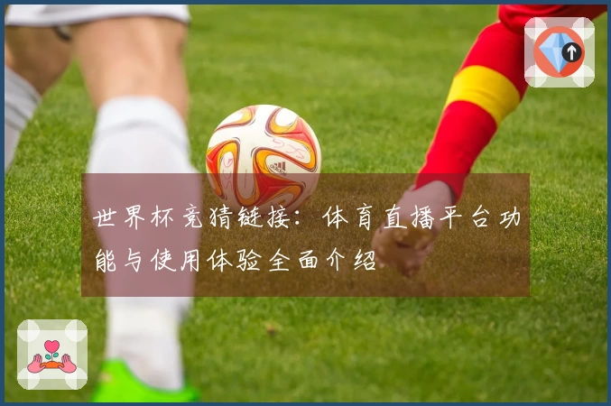 世界杯竞猜链接：体育直播平台功能与使用体验全面介绍
