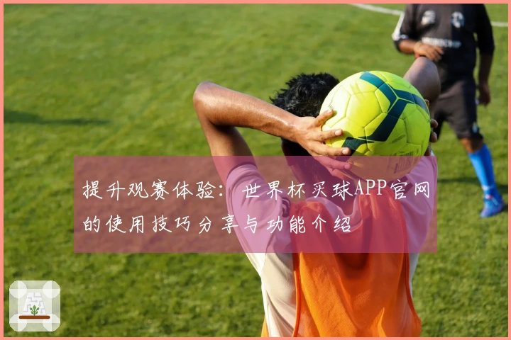 提升观赛体验：世界杯买球APP官网的使用技巧分享与功能介绍